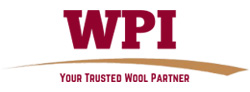 WPI